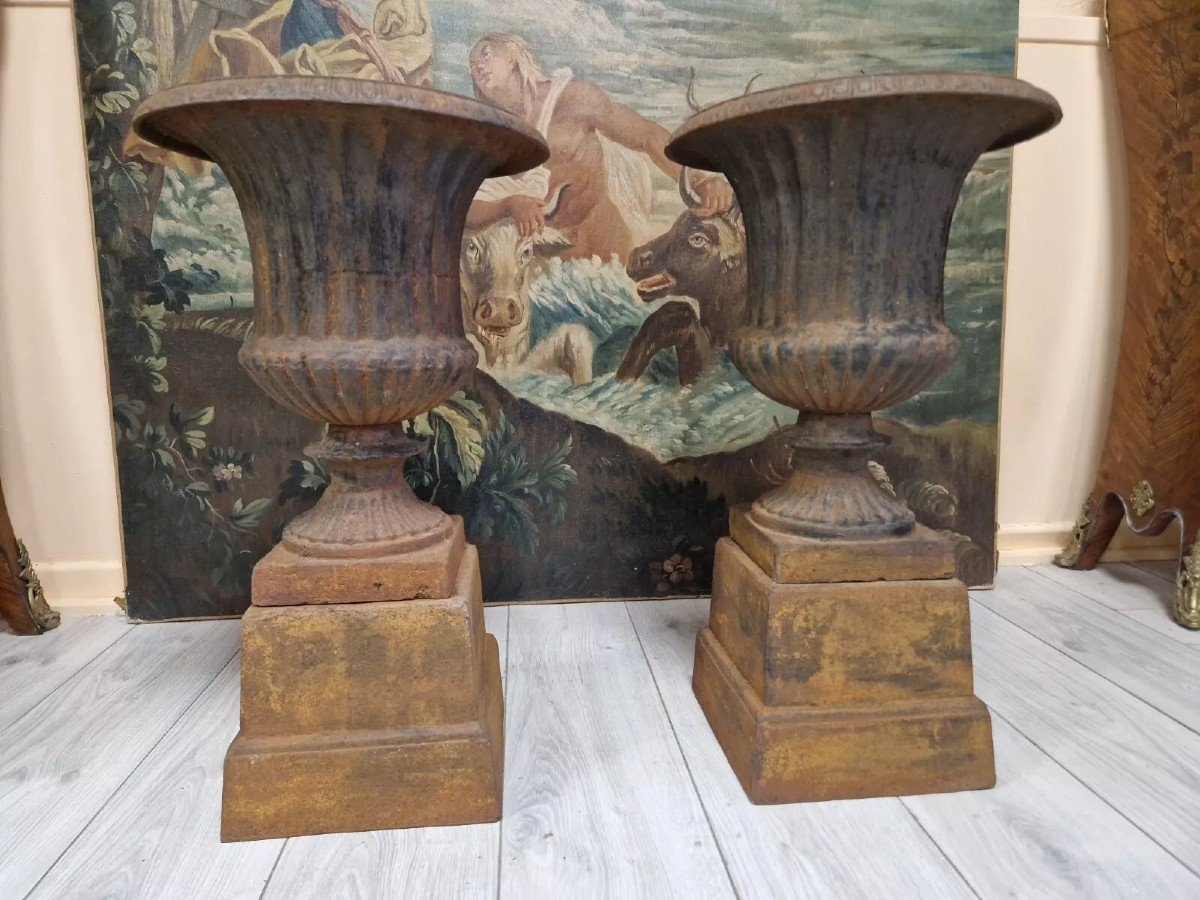 Pair Of Large Medici Vases-photo-4