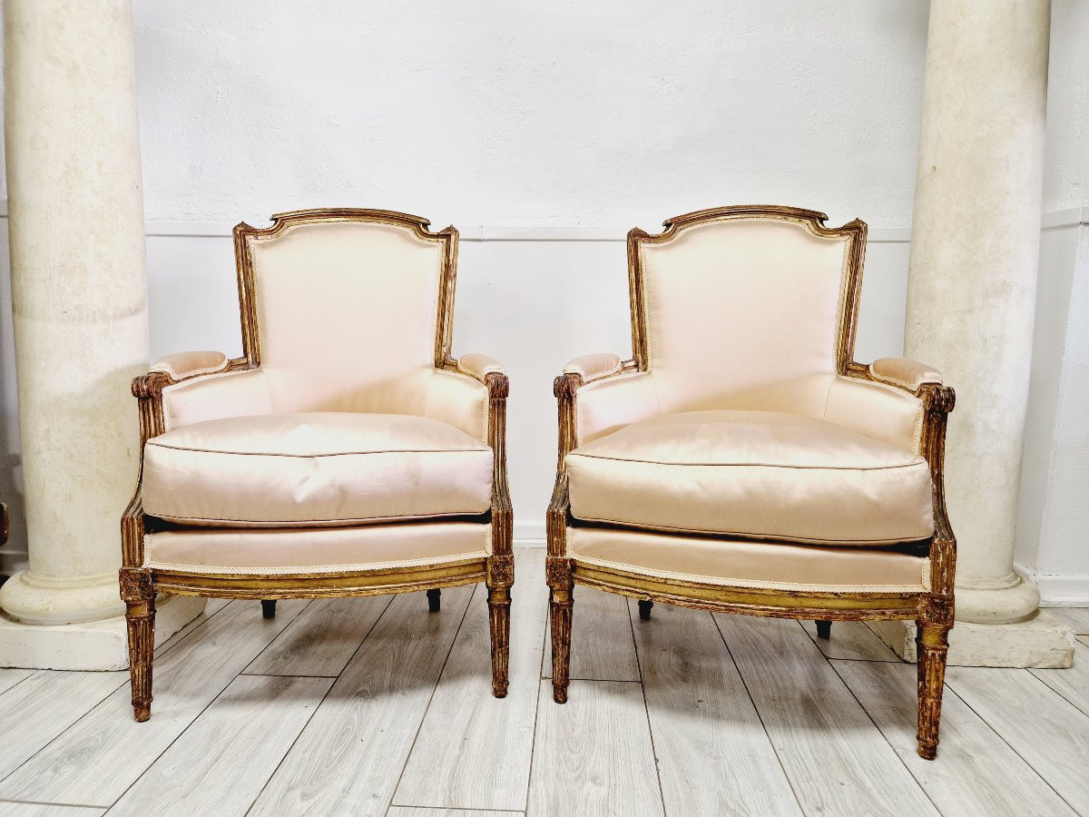 Paire antique de fauteuils bergères Louis XVI-photo-2