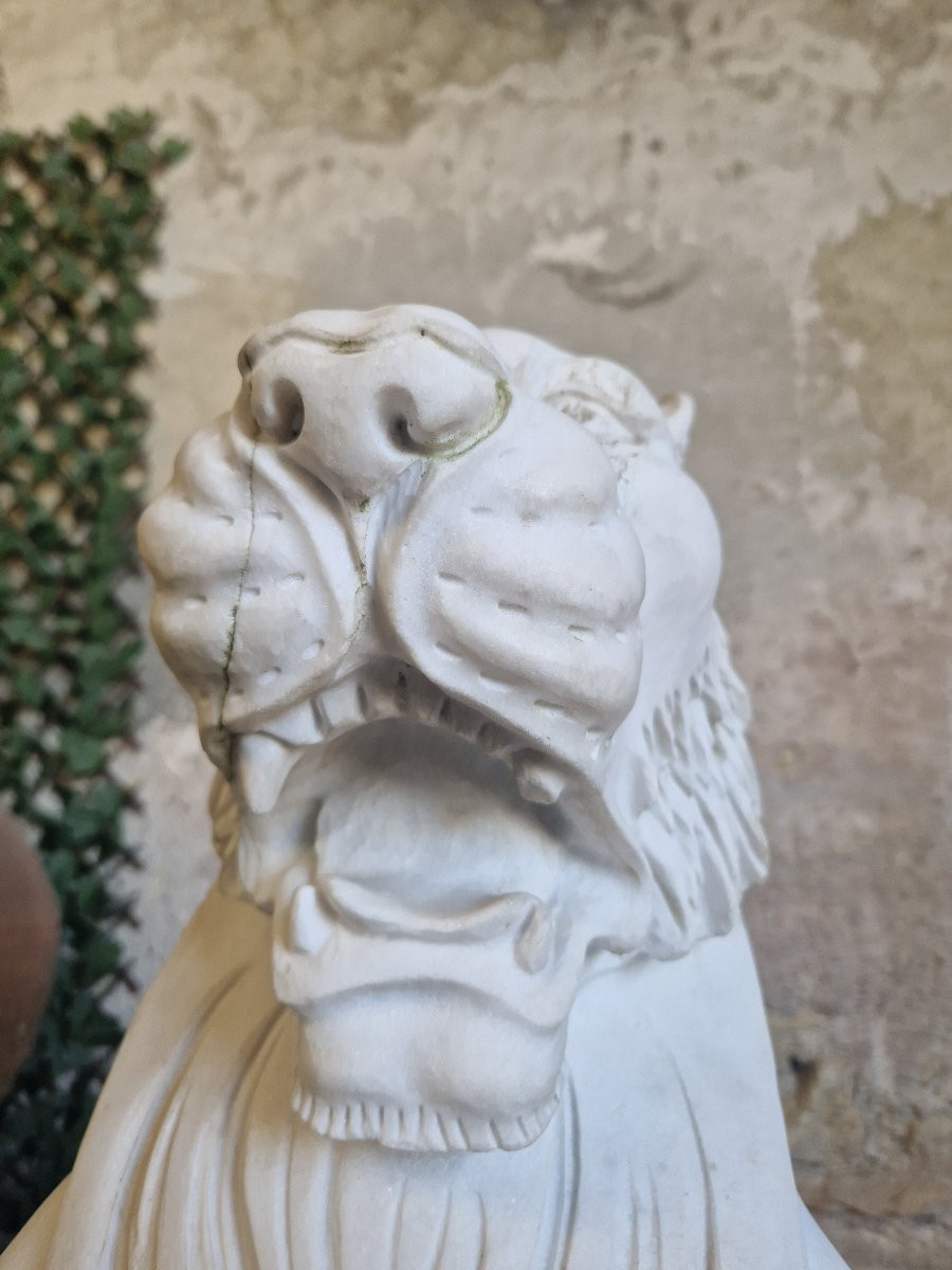 Antique Pair Of Marble Lion Statues **very Heavy**-photo-3