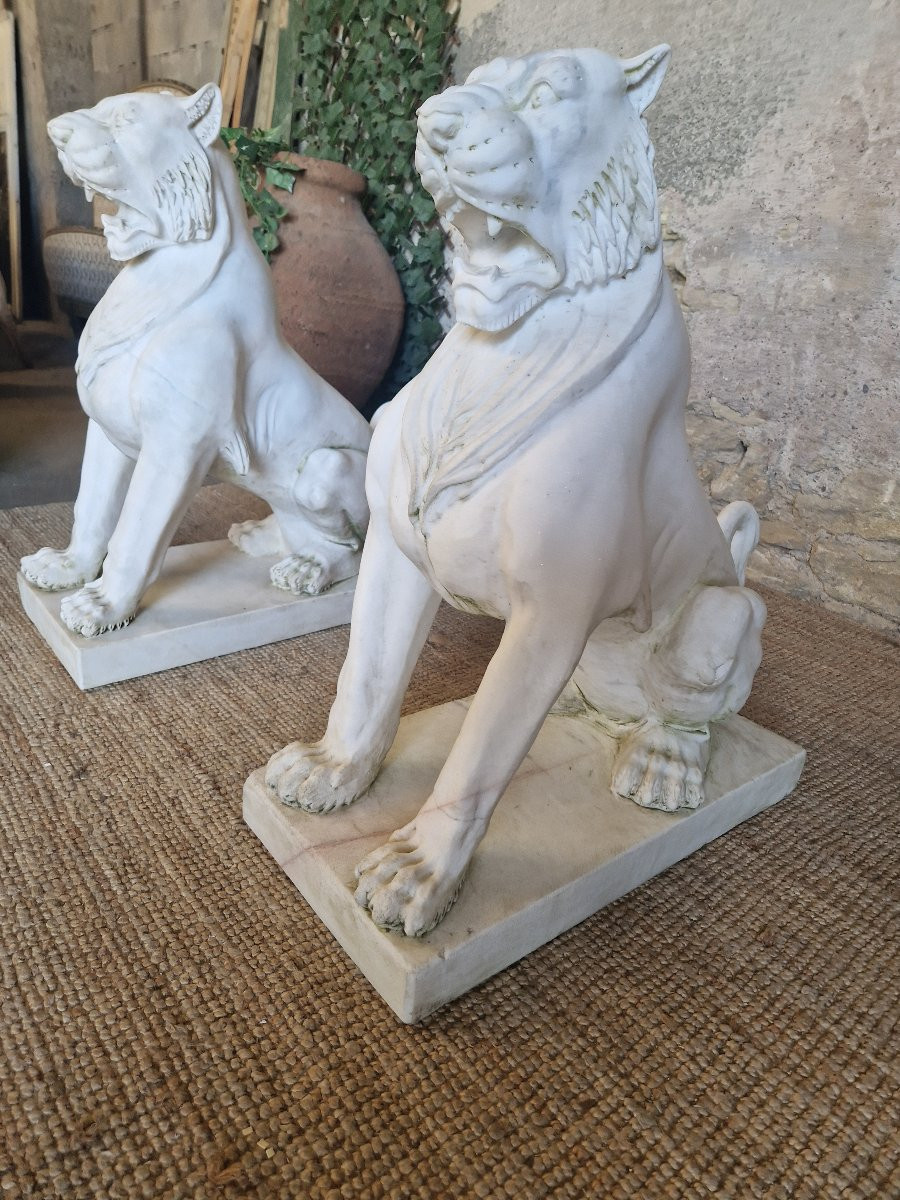 Antique Pair Of Marble Lion Statues **very Heavy**-photo-6