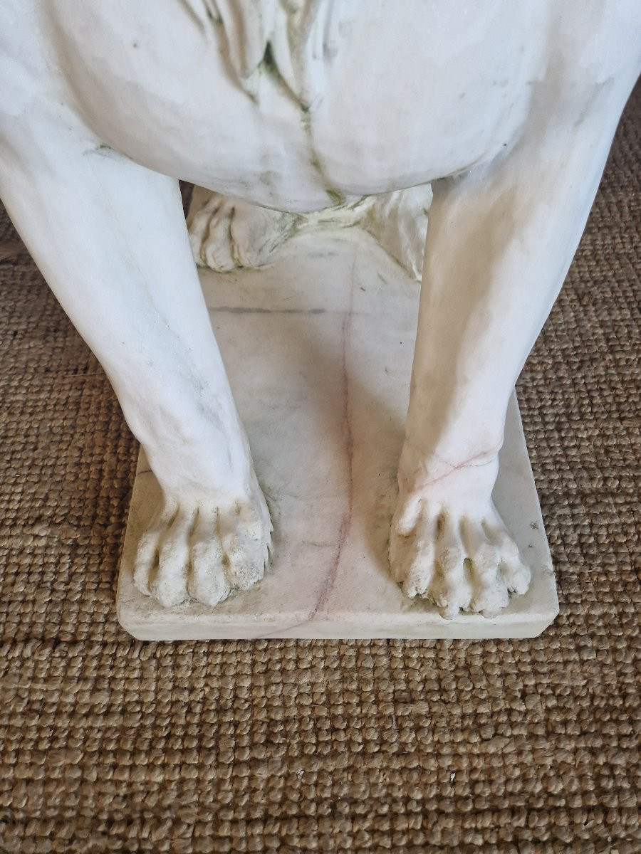 Antique Pair Of Marble Lion Statues **very Heavy**-photo-8