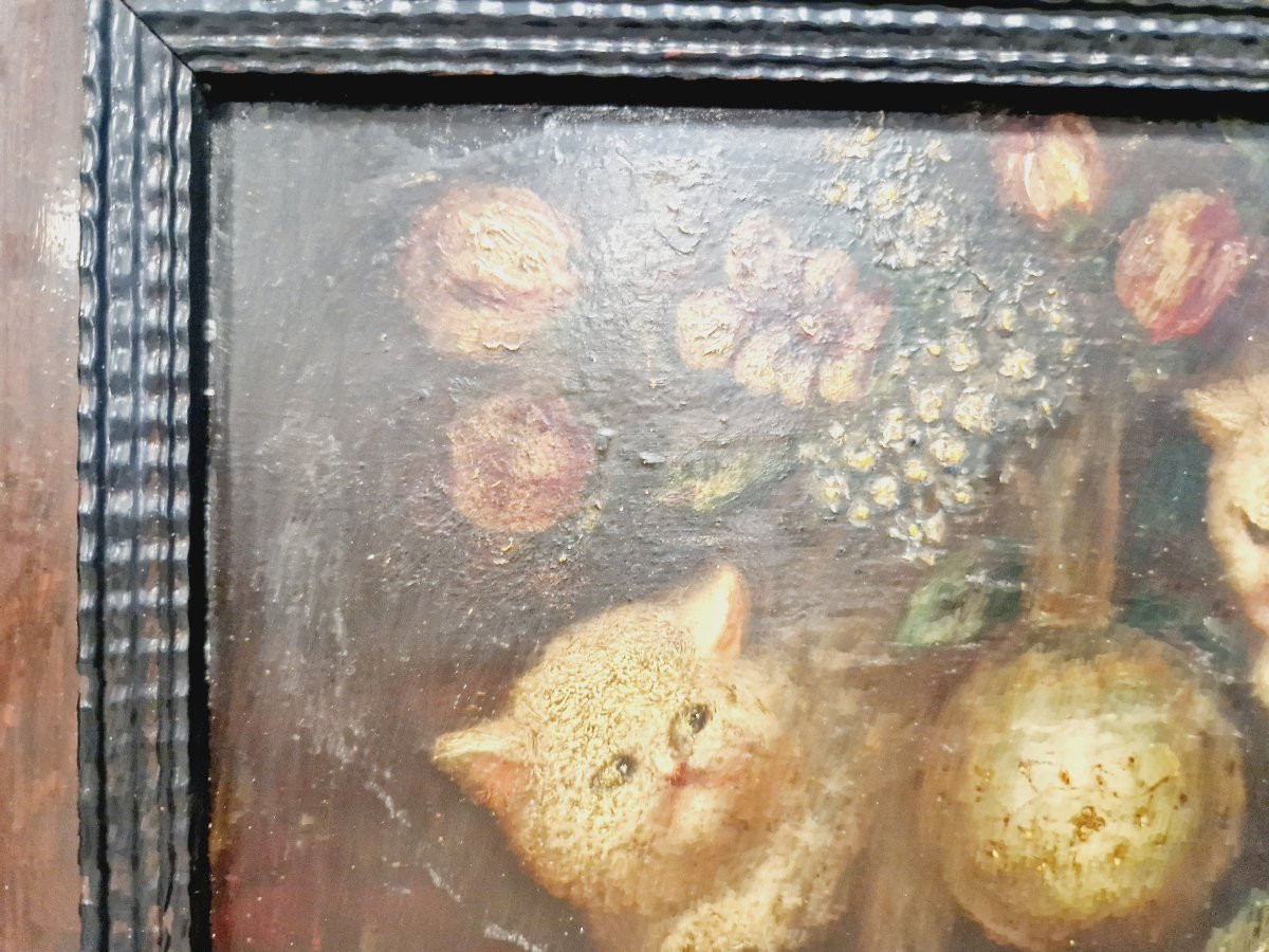 19th Century Oil Painting Of Kittens Signed Costa-photo-3