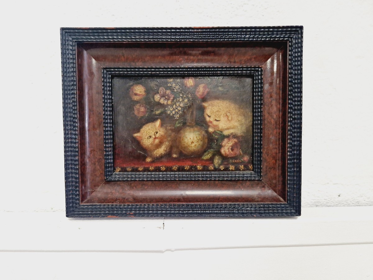 19th Century Oil Painting Of Kittens Signed Costa