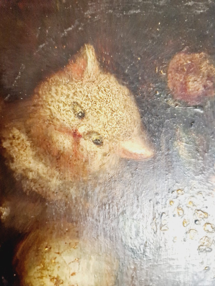 Oil Painting Kittens 19th Century Signed Costa-photo-7