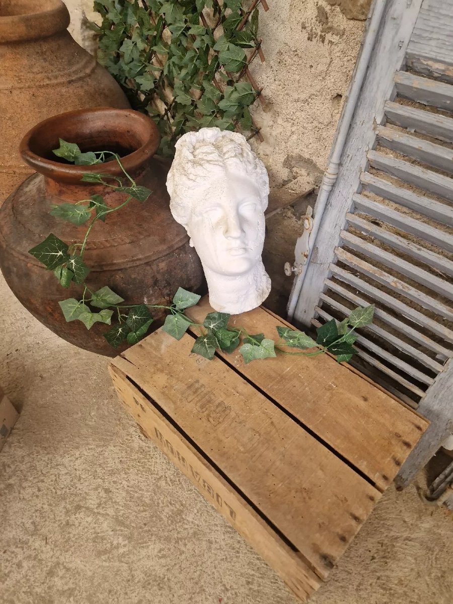 Buste mural antique de Vénus grandeur nature-photo-3