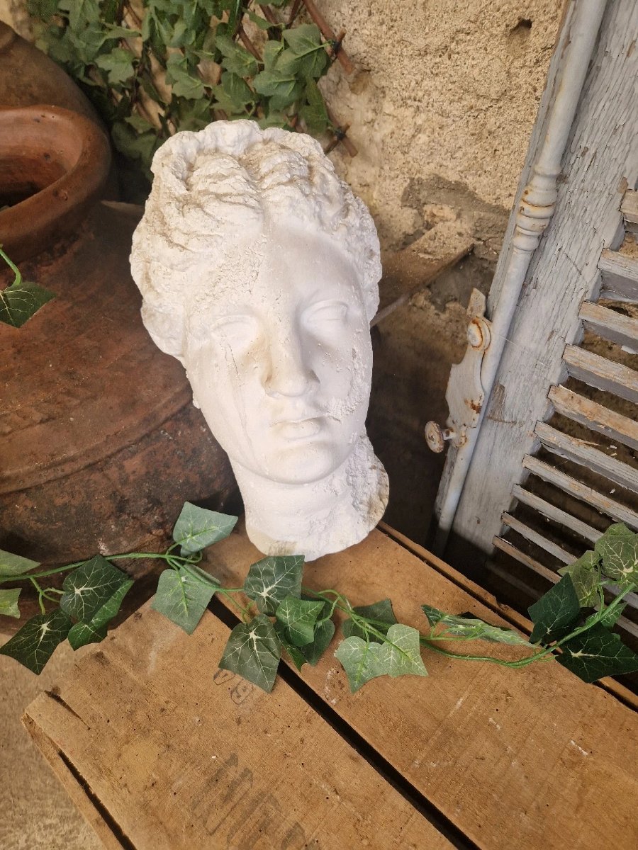 Buste mural antique de Vénus grandeur nature-photo-4