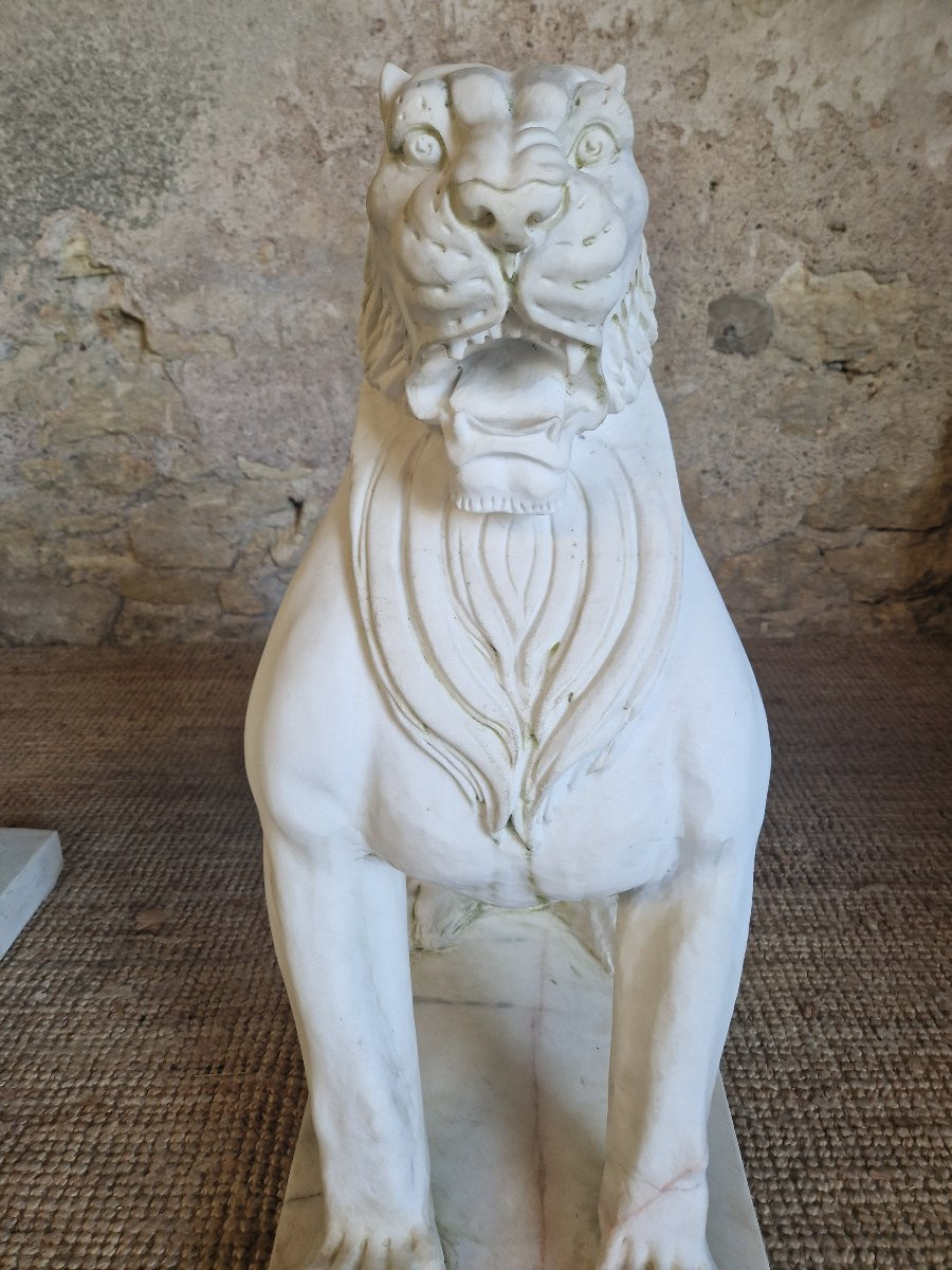Pair Of Antique Marble Lion Statues, 1920-photo-4