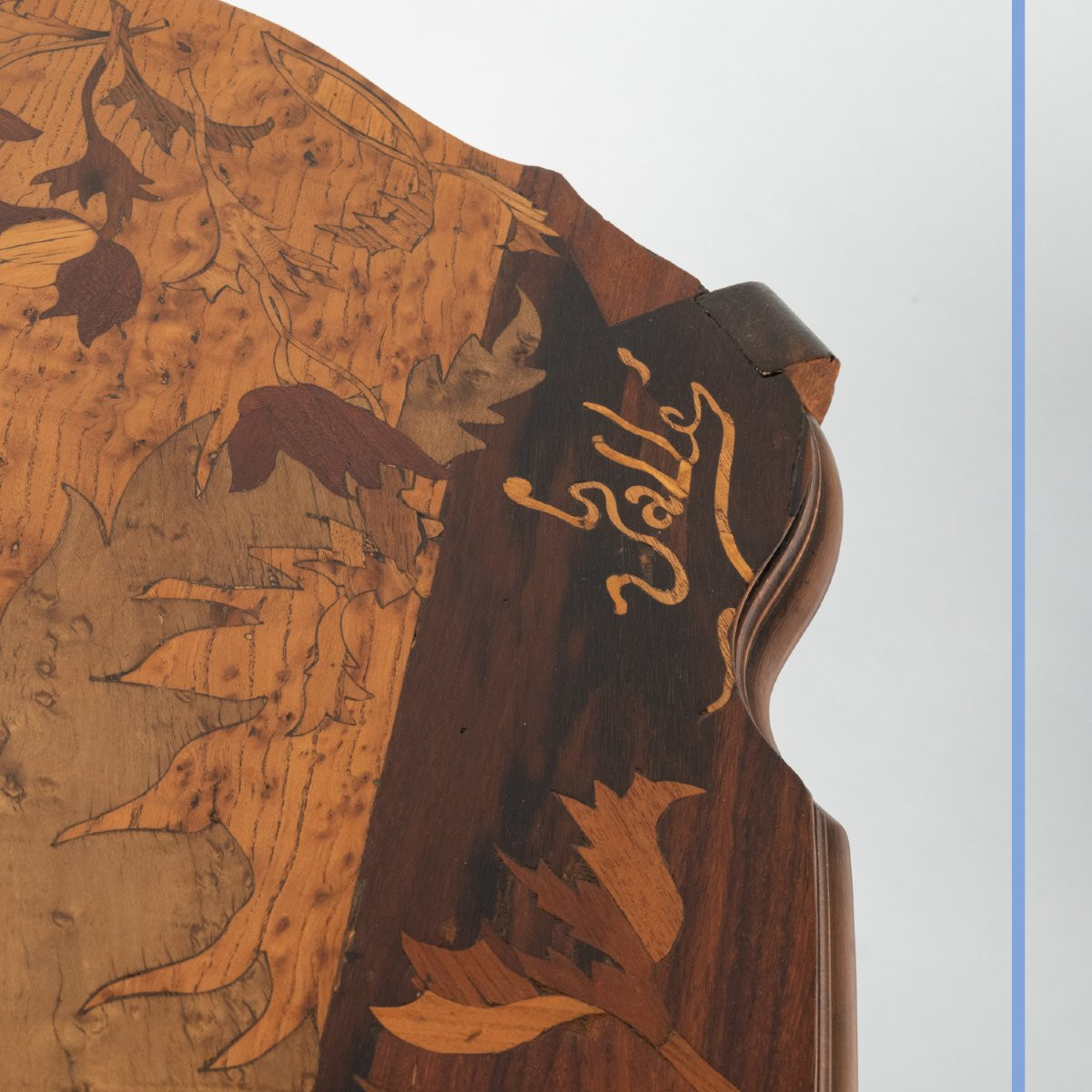 Émile Gallé (1846-1904), table à thé à deux plateaux latéraux ouvrants, XIXe-photo-8
