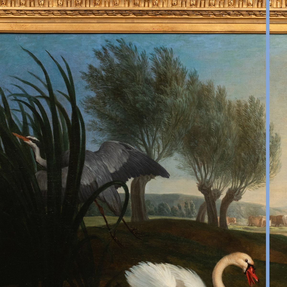 Attribué à Jan  Weenix  (1640-1719), Chien à l'arrêt devant un cygne, huile sur toile, XVIIIe-photo-3