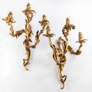 Paire d'Appliques De Style Louis XV En Bronze Doré, XIXe