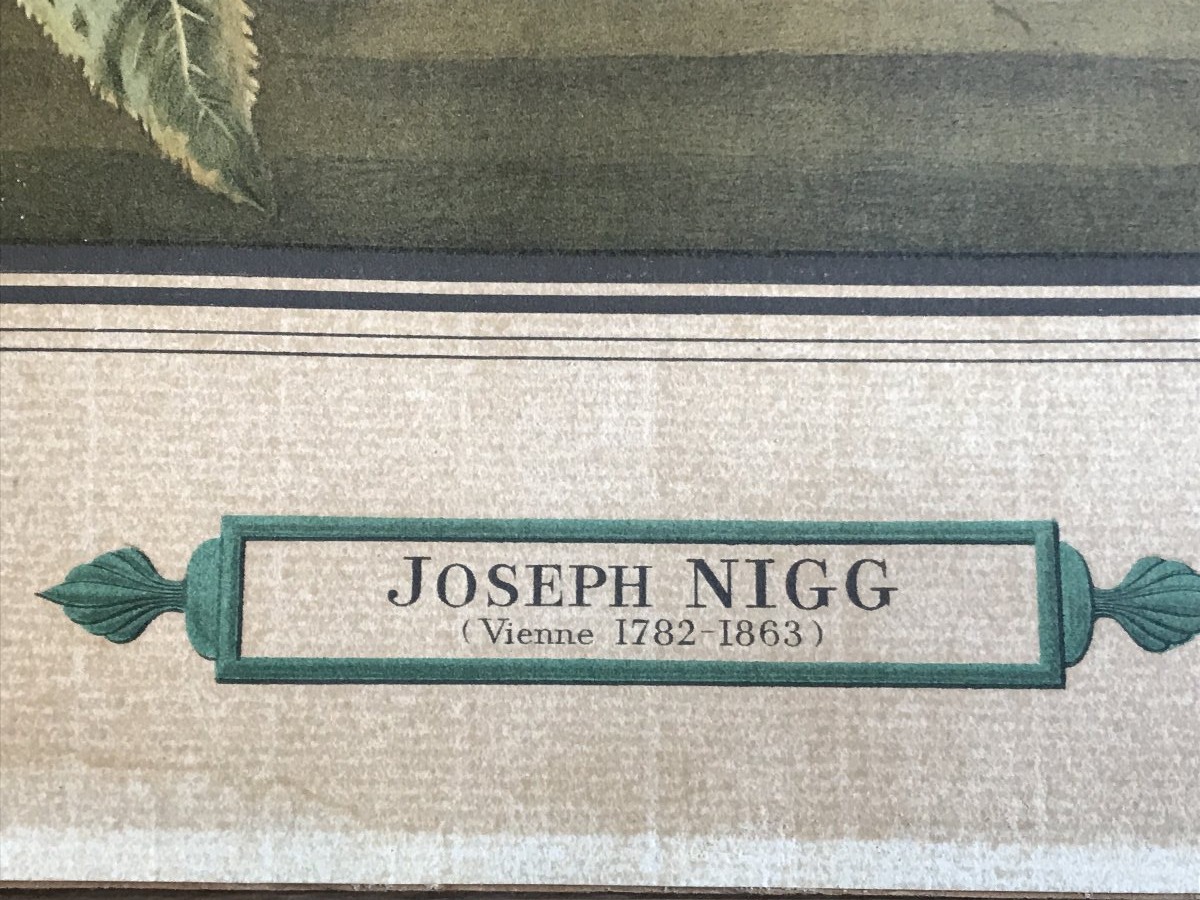 Joseph Nigg (1782-1863) - Still Life - Lithograph-photo-3