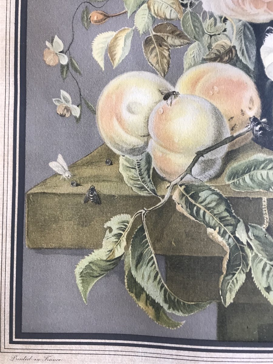 Joseph Nigg (1782-1863) - Still Life - Lithograph-photo-4