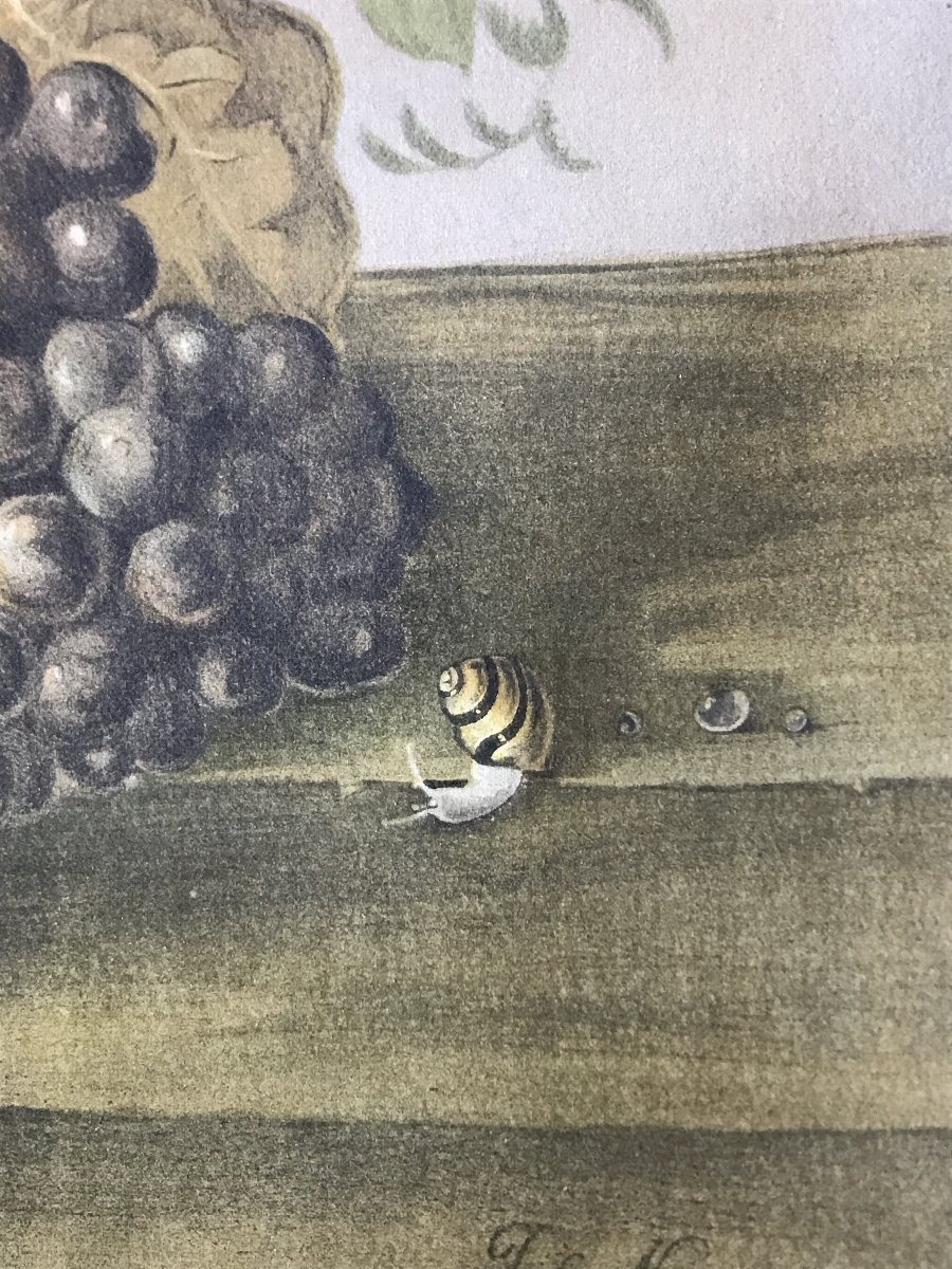 Joseph Nigg (1782-1863) - Still Life - Lithograph-photo-1