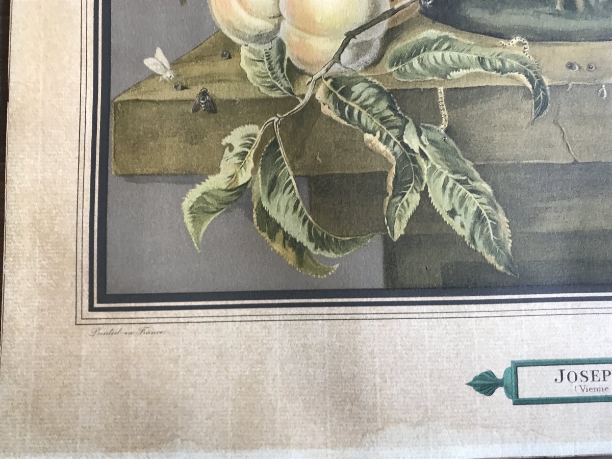 Joseph Nigg (1782-1863) - Still Life - Lithograph-photo-2