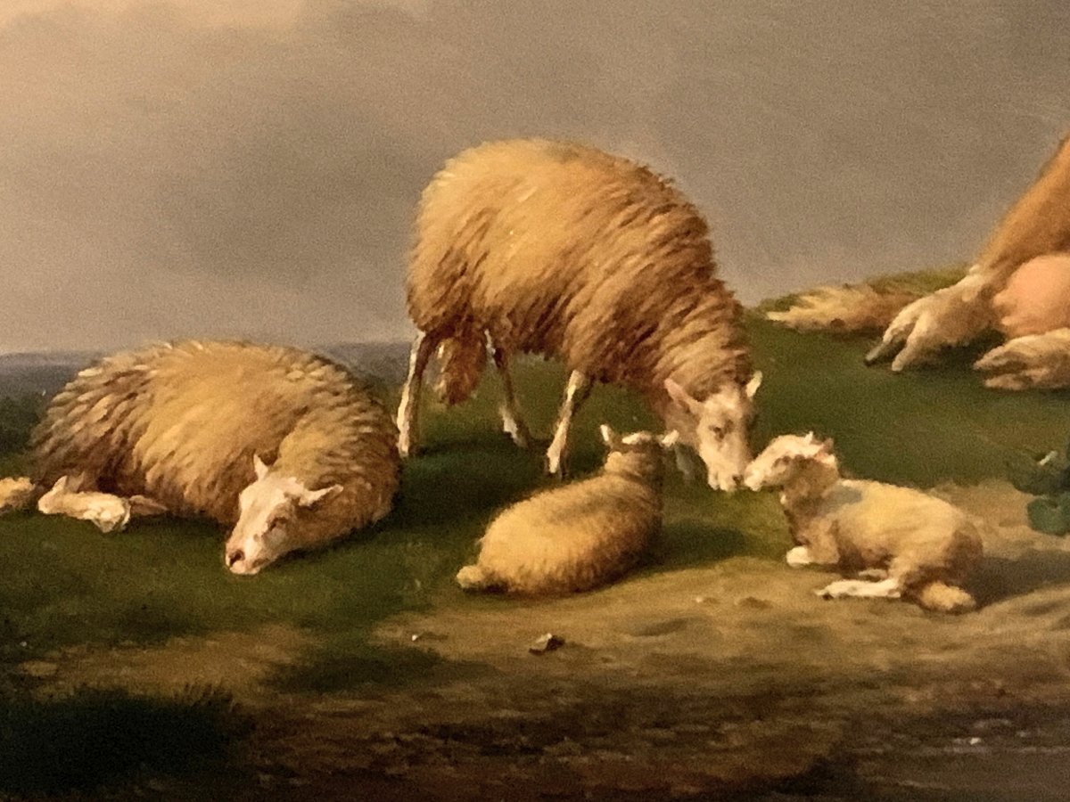 Eugène Verboeckhoven – Scène pastorale aux moutons , agneaux et vache 19e-photo-3