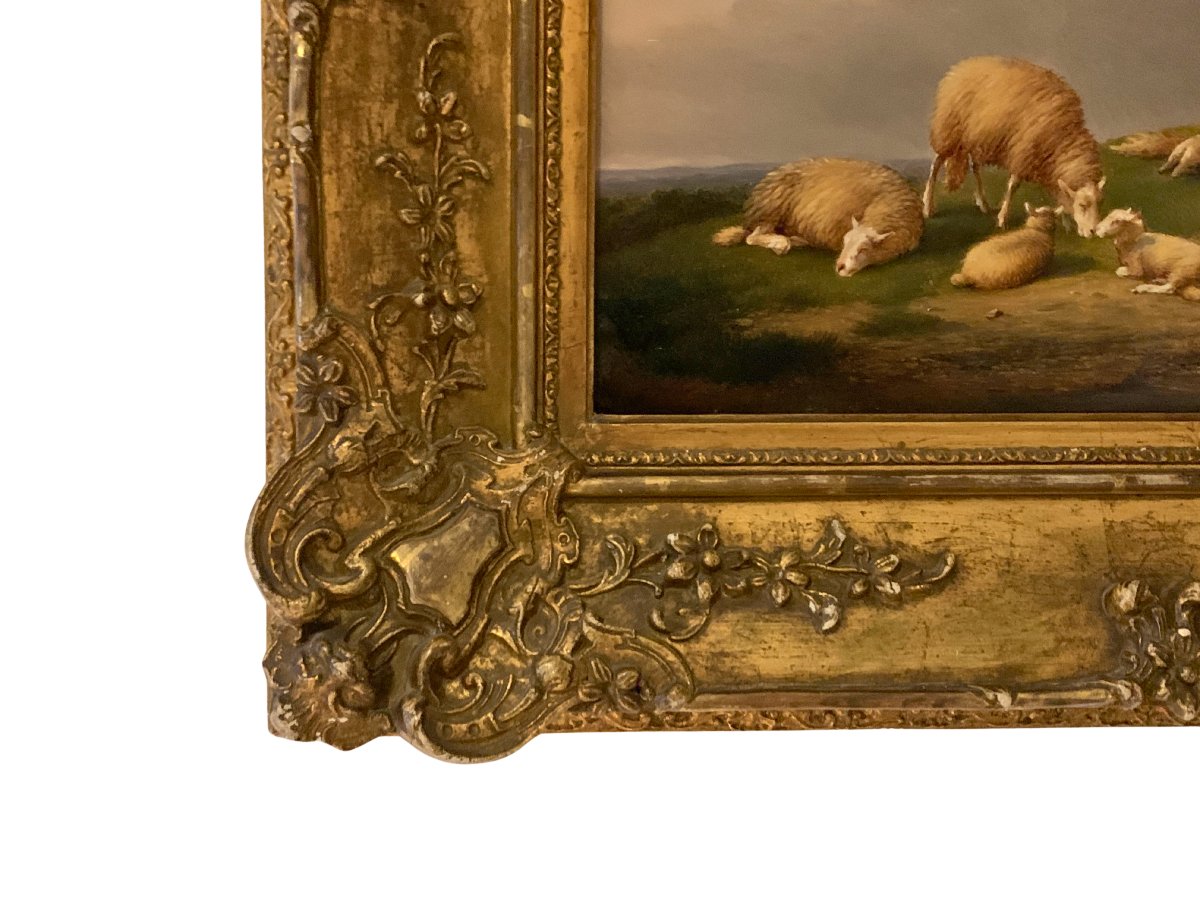 Eugène Verboeckhoven – Scène pastorale aux moutons , agneaux et vache 19e-photo-4