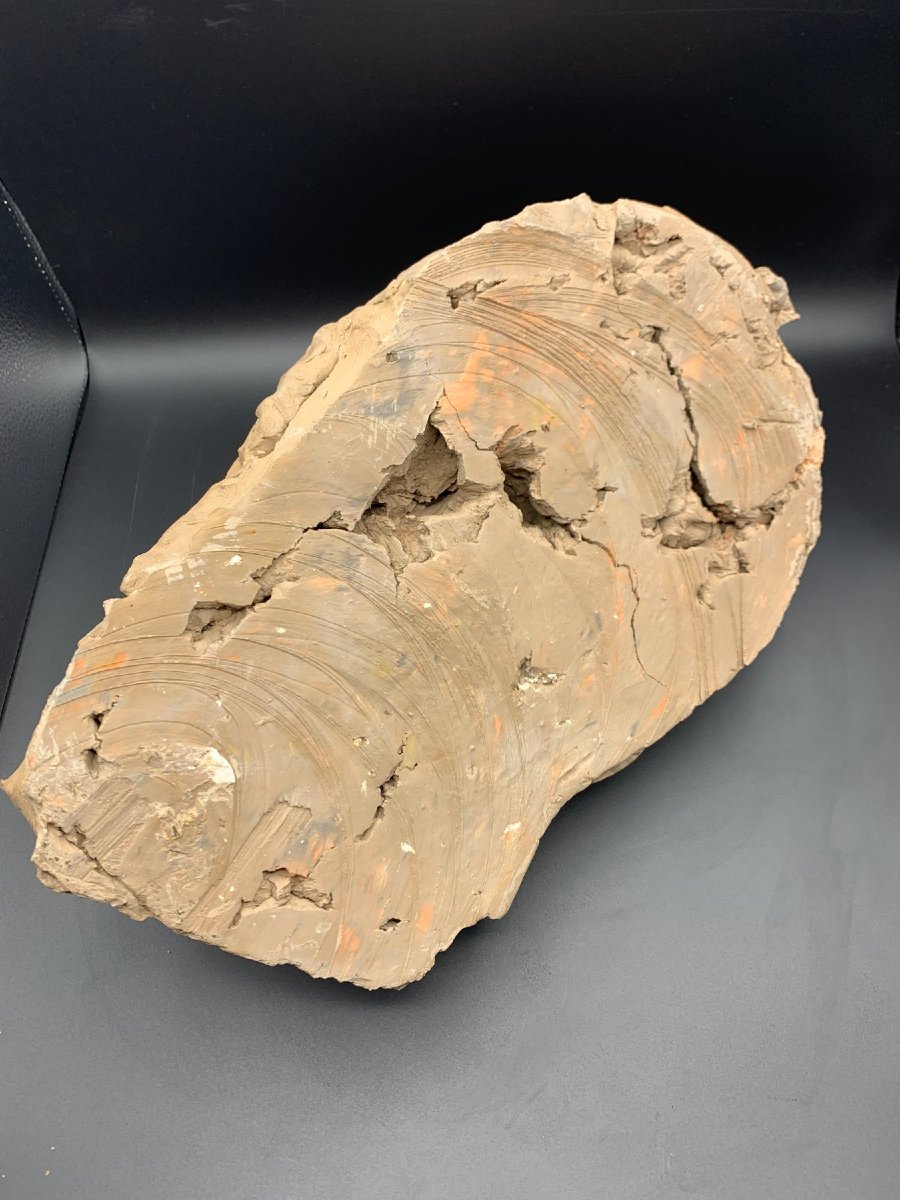 Tête à l'Antique en terre cuite-photo-1