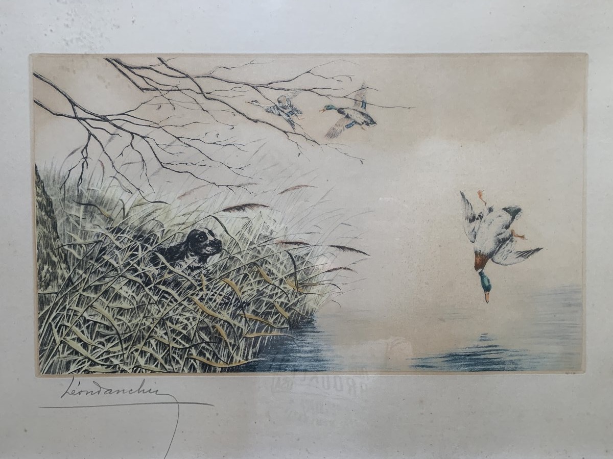 Original Engraving By Léon Danchin (1887–1938) — Setter Pointing At Ducks-photo-4