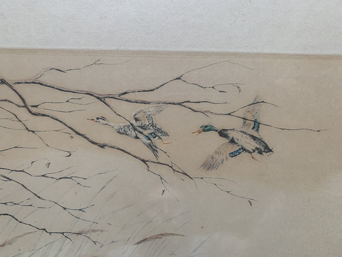 Original Engraving By Léon Danchin (1887–1938) — Setter Pointing At Ducks-photo-1