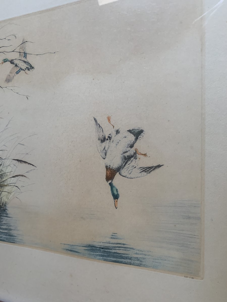 Original Engraving By Léon Danchin (1887–1938) — Setter Pointing At Ducks-photo-2