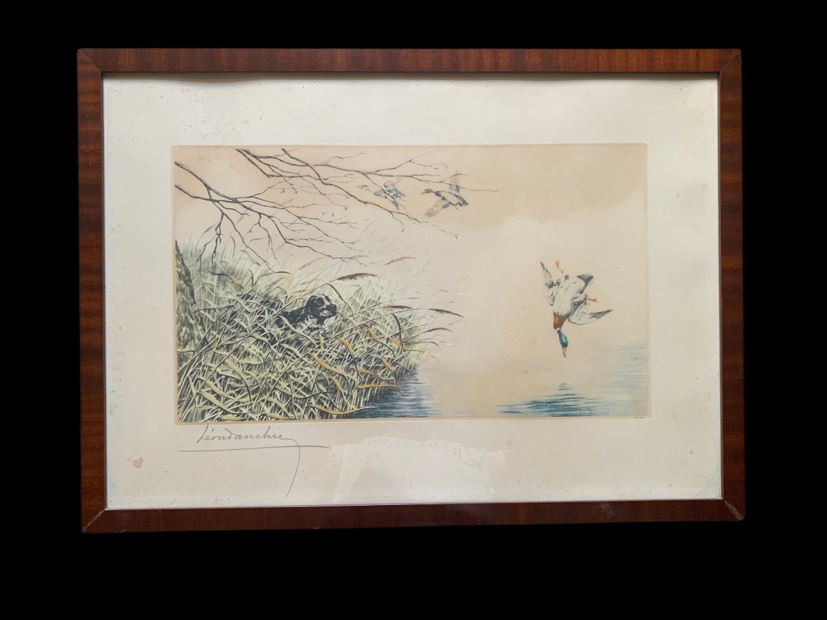 Original Engraving By Léon Danchin (1887–1938) — Setter Pointing At Ducks