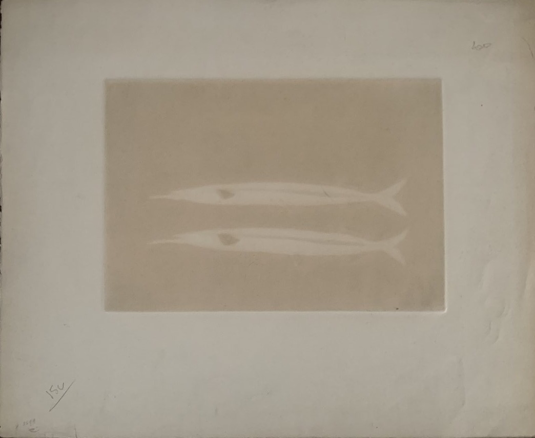 Tomoe Yokoi (née en 1943) – Two Fish - Gravure signée-photo-5