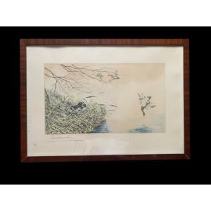 Original Engraving By Léon Danchin (1887–1938) — Setter Pointing At Ducks