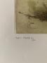 1809087-6a830fbdd4868.jpg