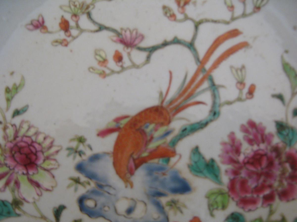 Plate Of India Company Qianlong, XVIII.-photo-2