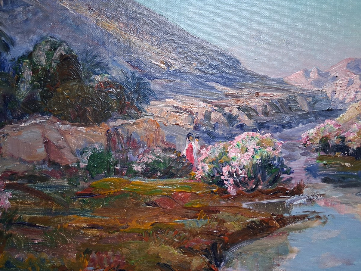 Vue de l’oasis de Bou Saâda (Algérie)-photo-2