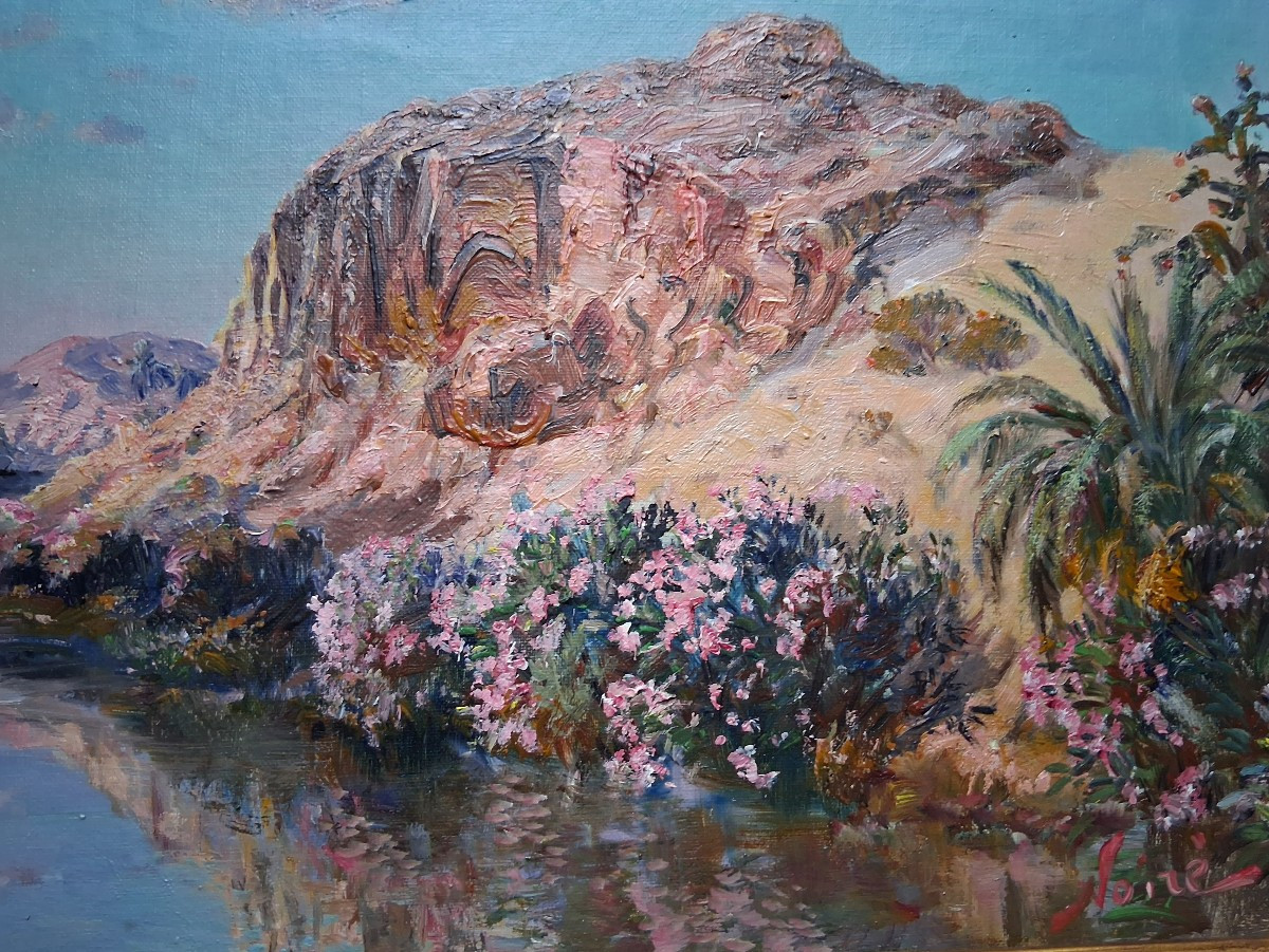 Vue de l’oasis de Bou Saâda (Algérie)-photo-3
