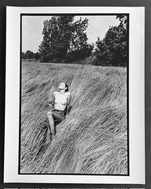 Michel Pinel - Photography - Nude In The Tall Grass - 2004