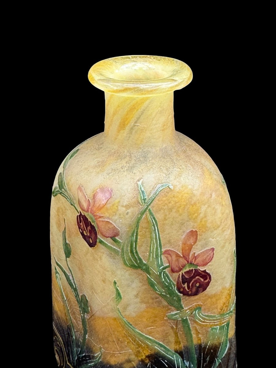 Daum Art Nouveau Enamel Vase - Decorated With Spider Web And Venus Clogs - C.1900-photo-7