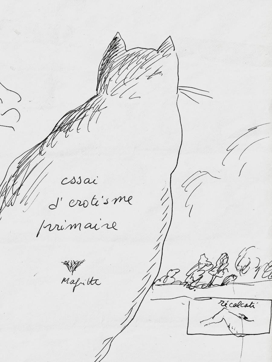 ROLAND TOPOR  " Ceci n"est pas un chat faible " Dessin original à l'encre - hommage à Magritte-photo-4