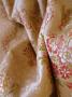 1580271-alb-686bc67f8387c.jpg