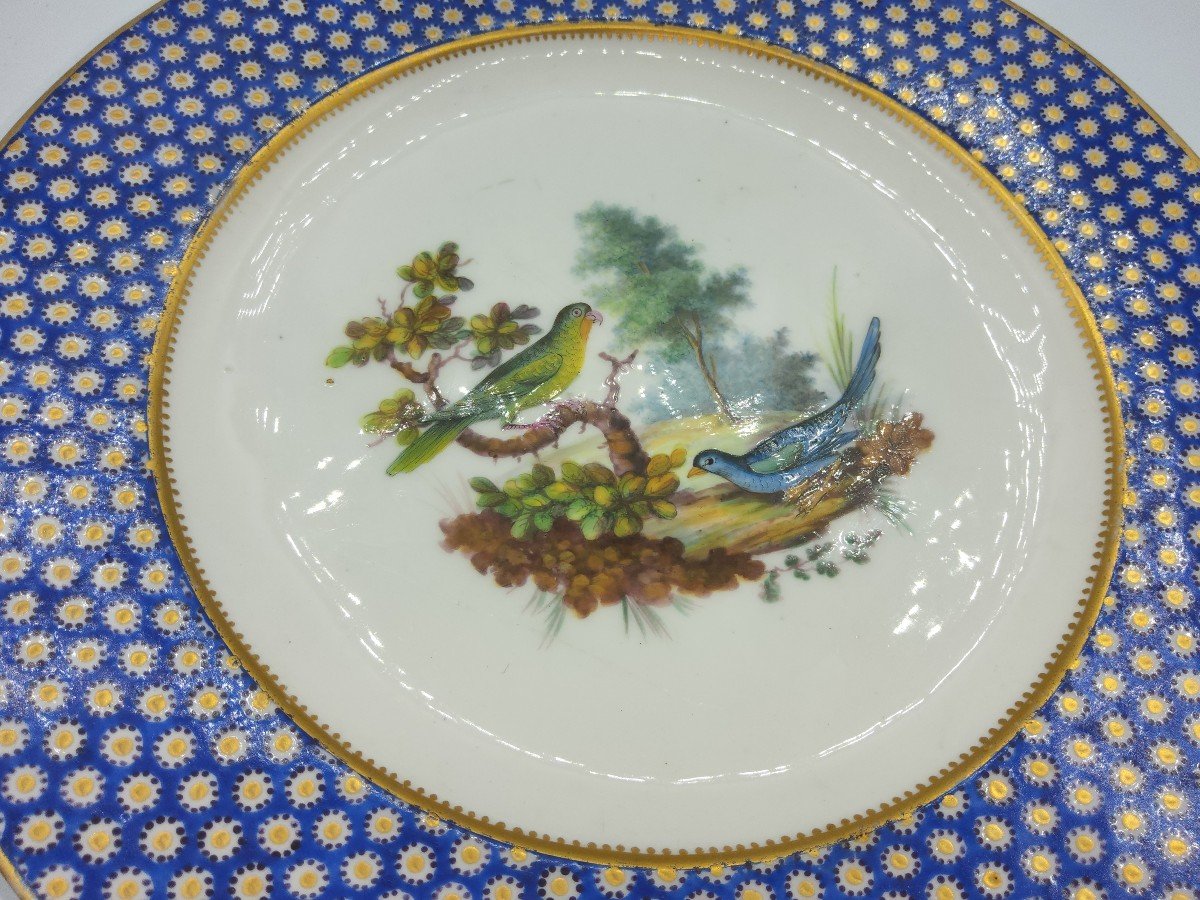 Vincennes Porcelaine assiette De Sevres Bleu Celeste 'oeil De Perdrix' Ornithologique-photo-3