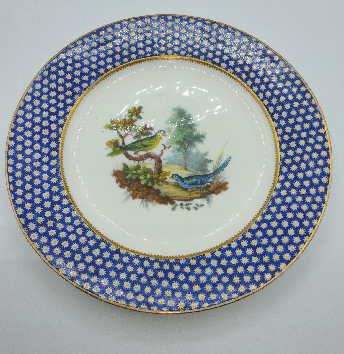 Vincennes Sevres Porcelain Plate Partridge Eye Pattern Painted With Exotic Birds-photo-4