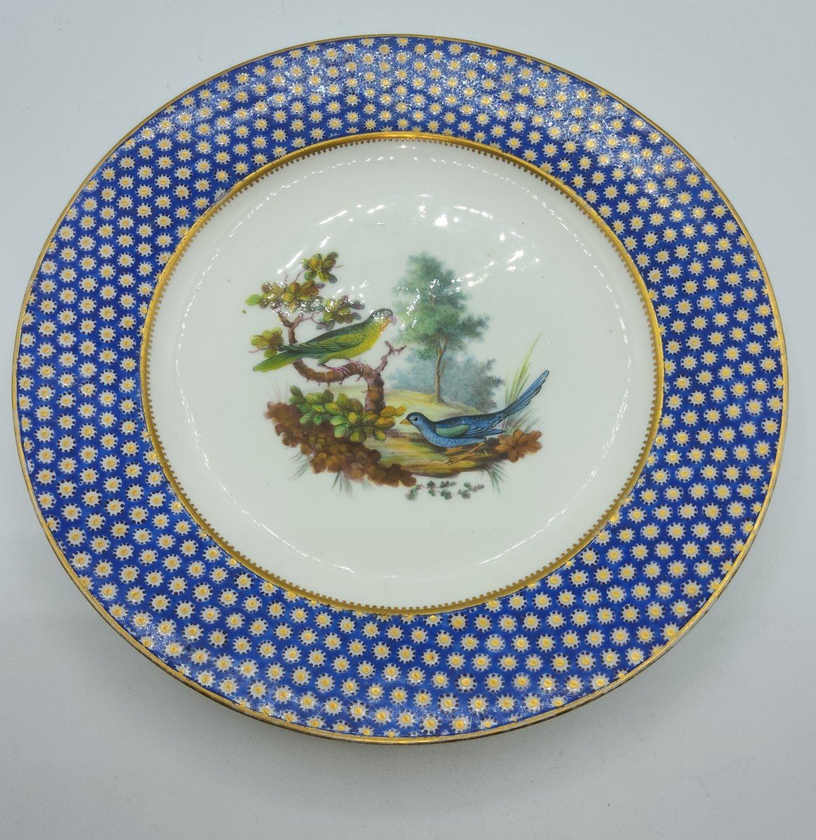 Vincennes Porcelaine assiette De Sevres Bleu Celeste 'oeil De Perdrix' Ornithologique-photo-4