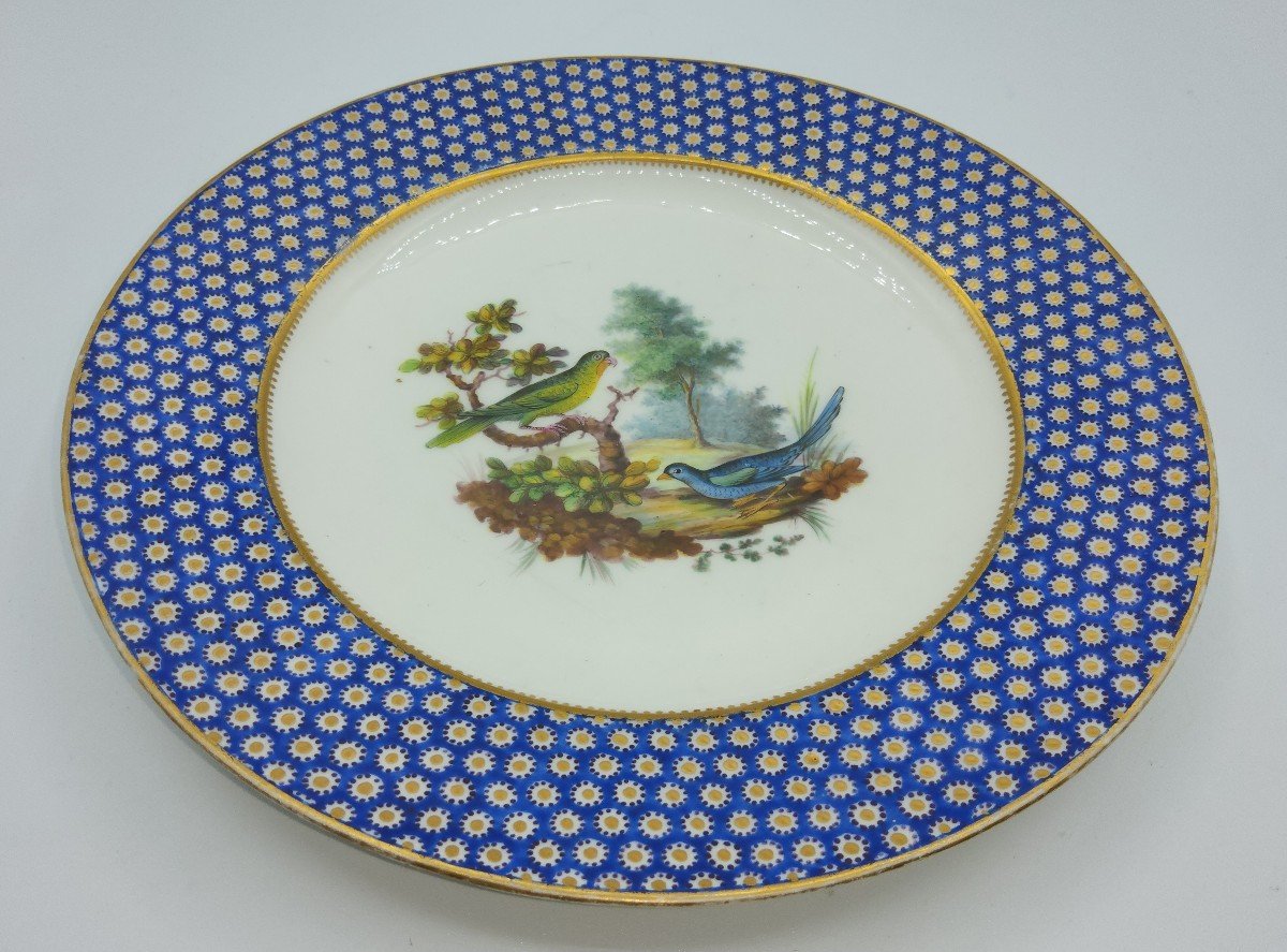 Vincennes Porcelaine assiette De Sevres Bleu Celeste 'oeil De Perdrix' Ornithologique-photo-5