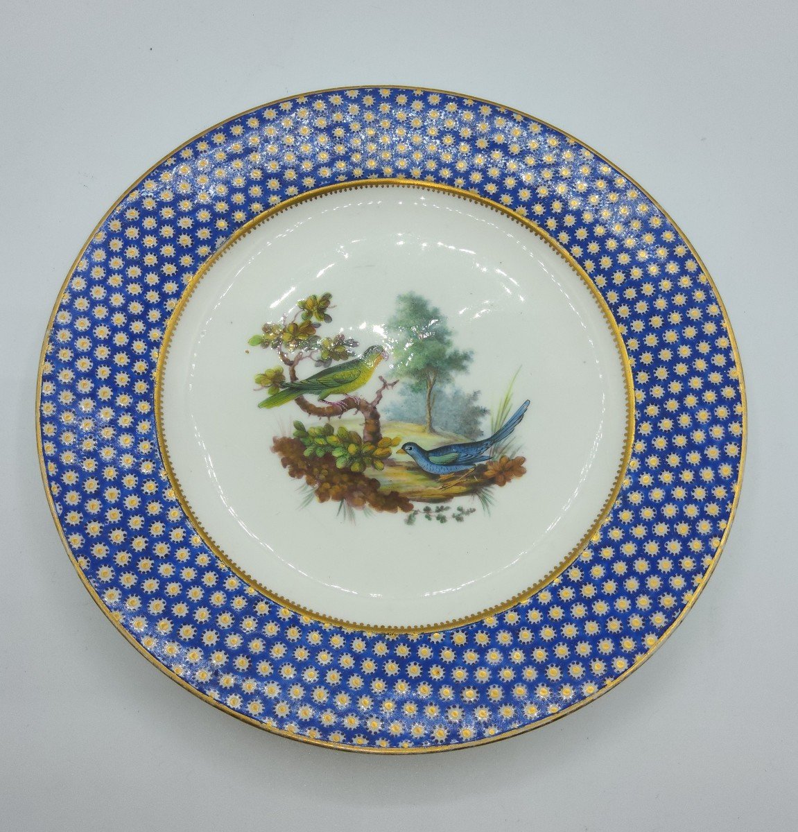 Vincennes Porcelaine assiette De Sevres Bleu Celeste 'oeil De Perdrix' Ornithologique