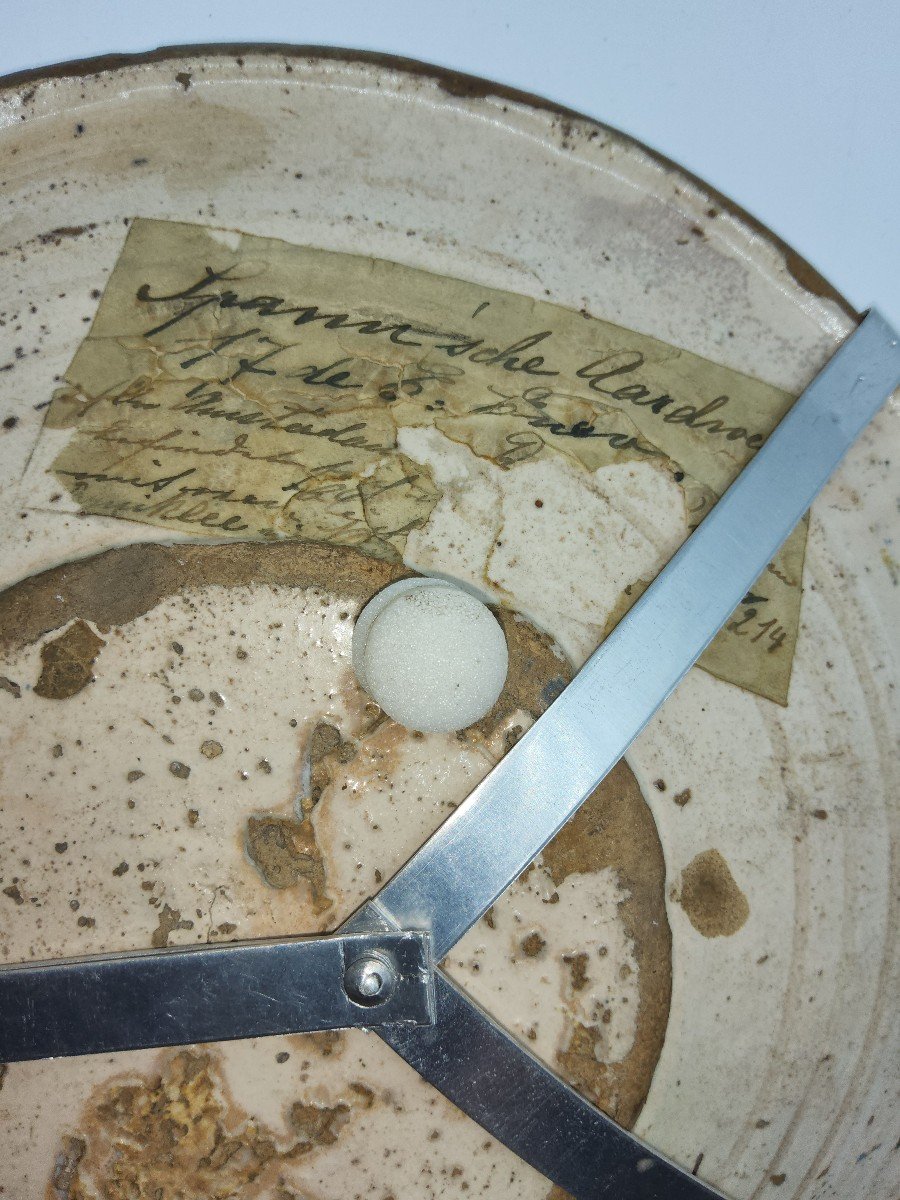 Assiette En Céramique De Montelupo XVIe Siècle-photo-1