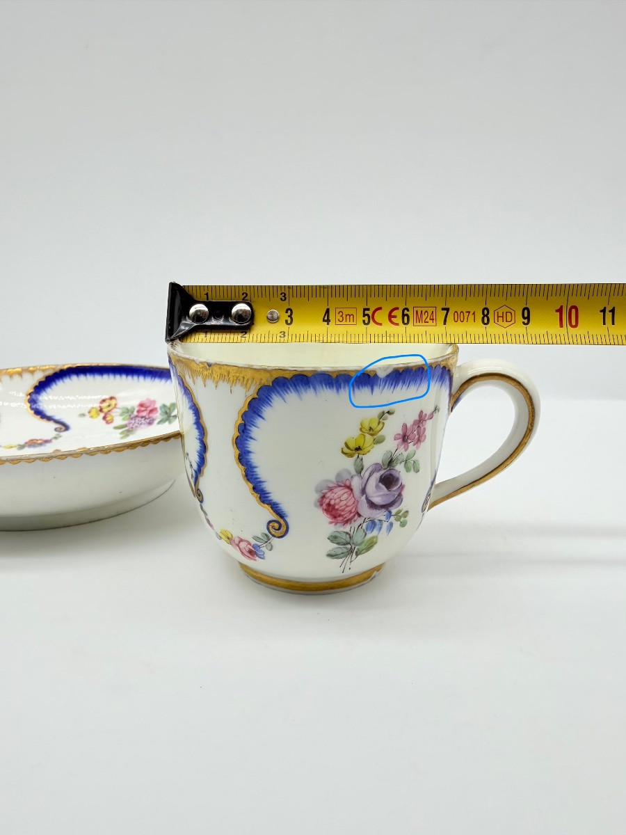 A Sèvres Feuilles De Choux Cup And Saucer-photo-7