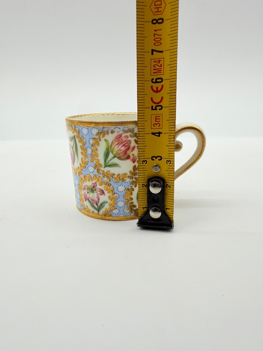 Porcelaine de Sèvres Tasse et soucoupe A décor polychrome de tulipe, XVIIIEME-photo-1