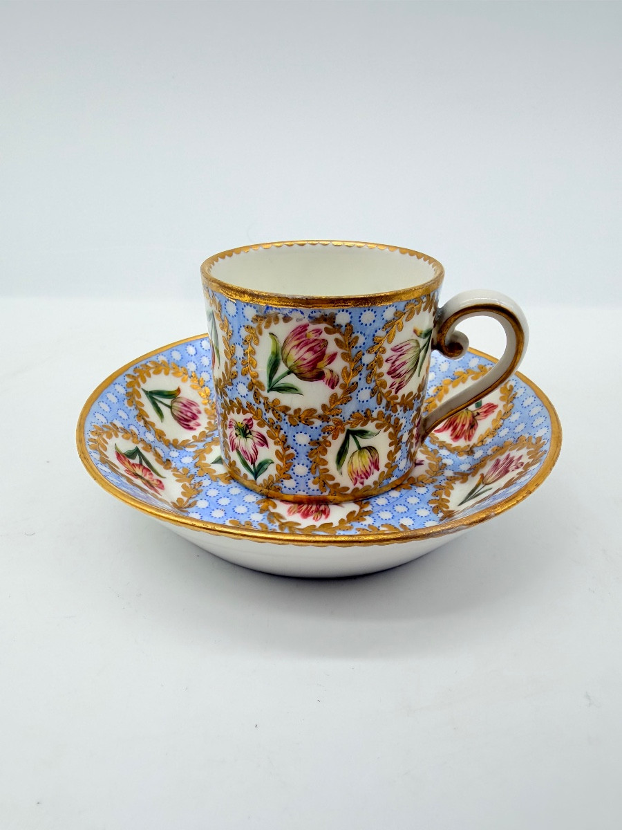 Porcelaine de Sèvres Tasse et soucoupe A décor polychrome de tulipe, XVIIIEME