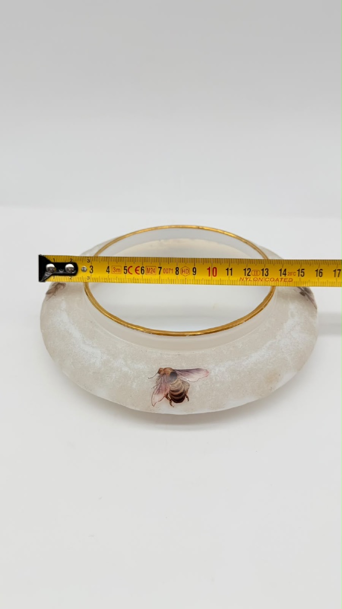Opaline Glass Bowl By G. Brocard à Bar-sur-seine, 19th Century, With Painted Insects-photo-3