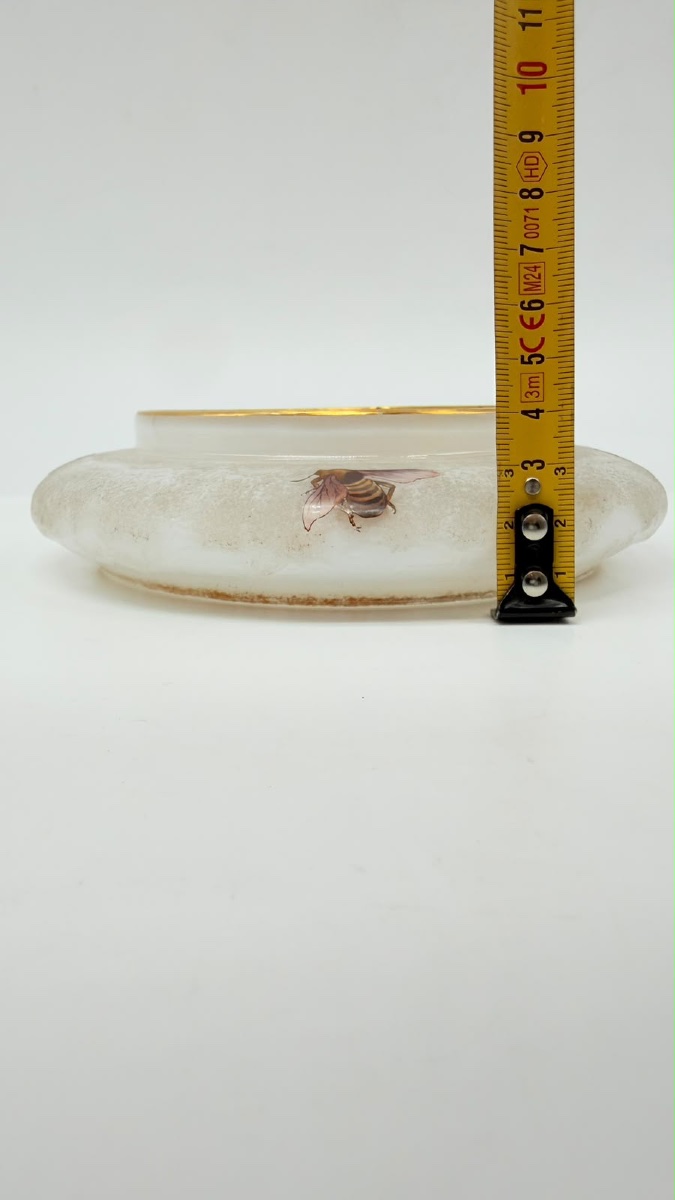 Opaline Glass Bowl By G. Brocard à Bar-sur-seine, 19th Century, With Painted Insects-photo-4