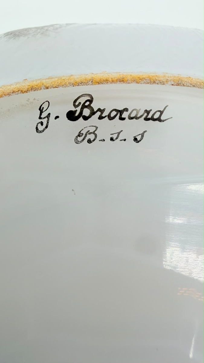 Opaline Glass Bowl By G. Brocard à Bar-sur-seine, 19th Century, With Painted Insects-photo-5