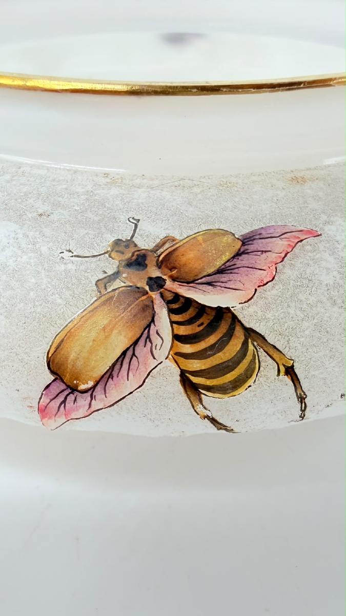 Opaline Glass Bowl By G. Brocard à Bar-sur-seine, 19th Century, With Painted Insects-photo-6