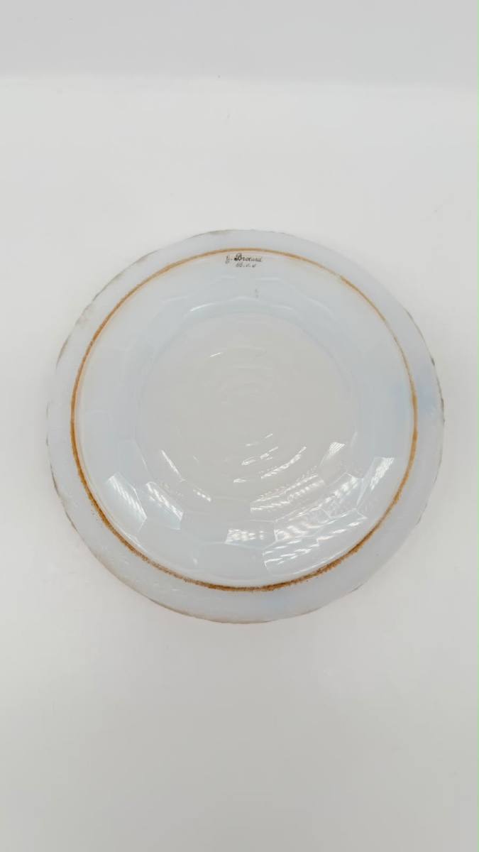 Opaline Glass Bowl By G. Brocard à Bar-sur-seine, 19th Century, With Painted Insects-photo-7