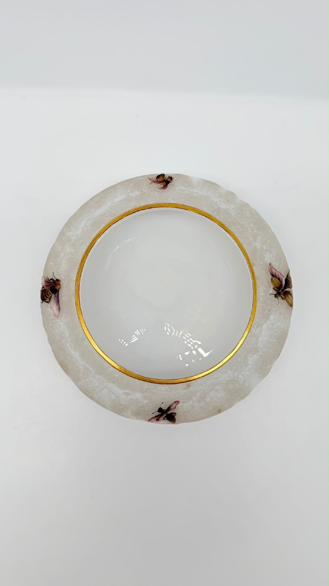 Opaline Glass Bowl By G. Brocard à Bar-sur-seine, 19th Century, With Painted Insects-photo-8